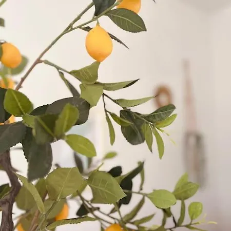 Apartmán Sicily 3 - Blue Waves Campofelice Di Roccella